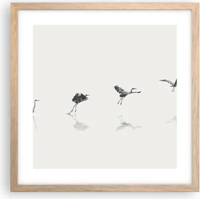 Produktbild von Gerahmtes Poster - Rahmen in heller Eiche - Flug Vogel Reiher - 40x40 cm - Wand Bild - Wanddeko - Wandbilder - Kunstposter - Wandposter - Bilderrahmen - Bilder - Kunstdruck - P2NAC40x40-5096