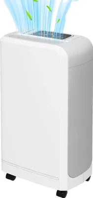 Image de Déshumidificateur électrique, capacité de 12 l/jour, réservoir de 2 l