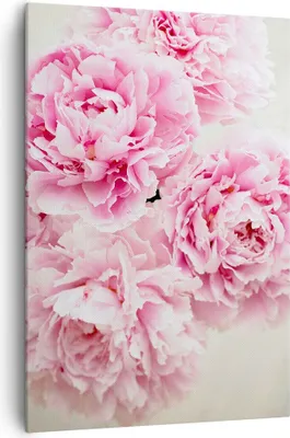 Produktbild von Bild auf Leinwand - Leinwandbild - Einteilig - Pfingstrosen Blumenstrauß Blumen - 70x100cm - Wand Bild - Wandbilder - Leinwanddruck - Wanddekoration - Leinwand bilder - Wandbild - PA70x100-4961