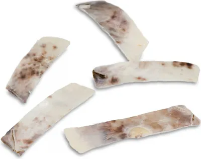 Produktbild von Placuna placenta in Streifen, Packung mit ca. 0,25kg | Perlmuttstreifen