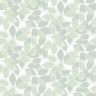 Obrázek produktu pro Duro Tapeta průhledná zelená - 661139 - 53 cm x 10,05 m
