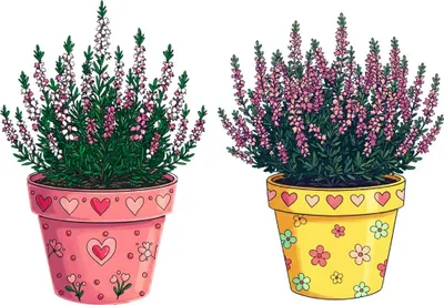 Produktbild von Heideblumen Fensterdeko groß doppelseitig A3