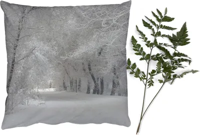 Produktbild von MuchoWow® Zierkissen Sofakissen Wohnzimmer Dekokissen 45x45 cm Bäume - Schnee - Winter - Schlafpolster - Polster für das Sofa
