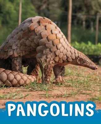 Produktbild von Pangolins