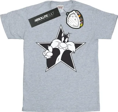 Obrázek produktu pro Looney Tunes - pánské tričko BI50204 (M) (šedá)