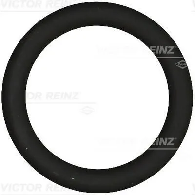 Produktbild von REINZ 40-76919-00 Ansaugkrümmer-Dichtung für FORD Fiesta Mk6 Schrägheck (JA8, JR8) Fiesta Mk5 Schrägheck (JH1, JD1, JH3, JD3) Focus II Schrägheck
