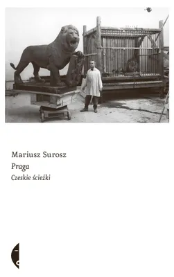 Obrázek produktu pro ISBN 978-83-819-1221-1, Polský, Brožovaná, 376 str.