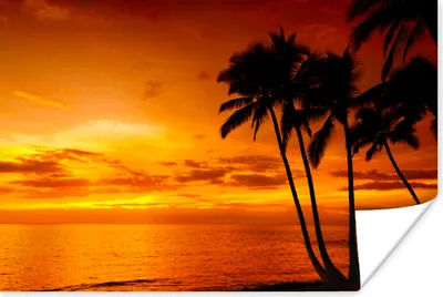 Produktbild von MuchoWow® Poster Palme - Sonnenuntergang - Tropisch - Orange - Meer 60x40 cm - Schlafzimmerdekoration