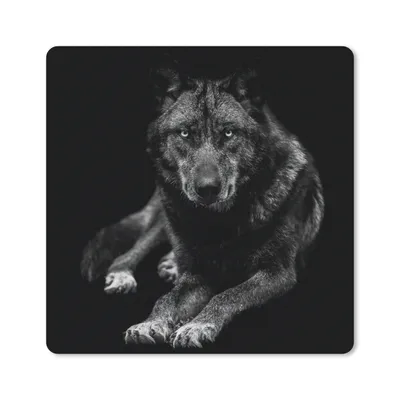 Produktbild von MuchoWow® Mauspad Mousepad Tiere - Wolf - Schwarz - Weiß - Porträt 20x20 cm - Mousepads - Maus Mat - Pad - Mausunterlage - Desk Mat - Bureauartikeln