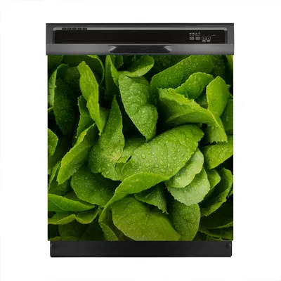 Produktbild von Aufkleber sticker 60x60 cm Dekorative folie Spülmaschine - Gemüse Farbige