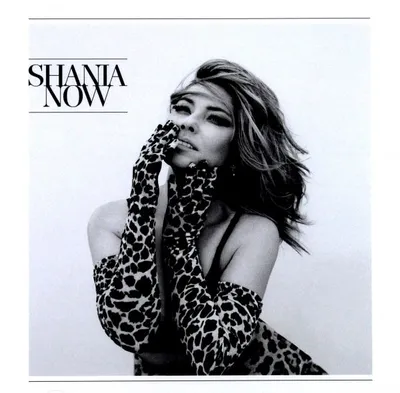 Produktbild von Shania Twain - Jetzt CD