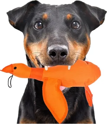 Produktbild von HappyPet Dazzle Ducks - quietschende Ente happypet