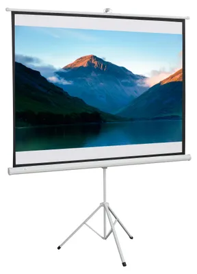 Produktbild von Beamer Leinwand klappbar 84 Zoll, Projektionsleinwand 4:3, Leinwand tragbar für Heimkino & Büro, Weiß | 171 x 131 cm | Metallrahmen | 6,5 kg