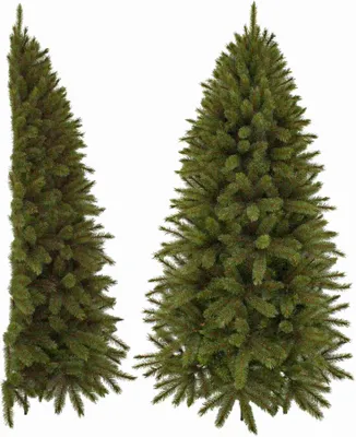 Produktbild von Triumph Tree Künstliche Weihnachtsbaum Forest frosted - 61x122x215 cm - PVC/Hartnadel - Grün