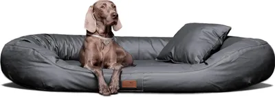 Produktbild von Orthopädisches Hundebett LENNART VISCO PLUS Kunstleder - Größe: 140x105cm | Farbe: 02 Graphit