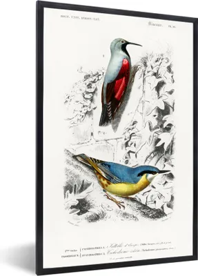 Produktbild von MuchoWow® MuchoWow® Gerahmtes Poster Vogel - Vintage - Zweig 40x60 cm - Poster mit zchwarzem Bilderrahmen - Papierdruck - Wandbilder
