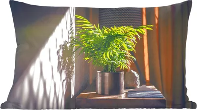 Produktbild von MuchoWow® Zierkissen Sofakissen Wohnzimmer Dekokissen 50x30 cm Sonnenlicht auf der Pflanze - Wohnzimmerdekoration - Polster mit Photo