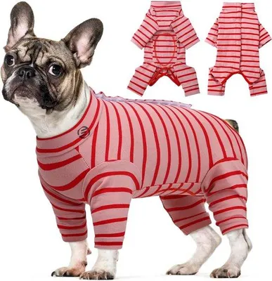 Produktbild von Hundepyjama - Kleidung für Hunde - weich und warm