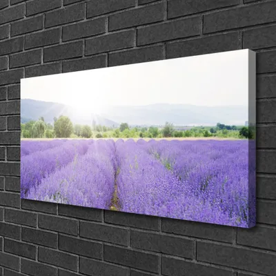 Produktbild von Tulup Leinwand-Bilder 100x50 Wandbild Canvas Kunstdruck Wiese Blumen Natur