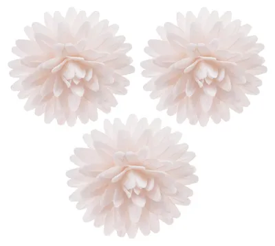 Produktbild von Essbare Blumen Tortendeko 12 Stück Oblate 4,5cm weiß Kuchen Deko Blüten