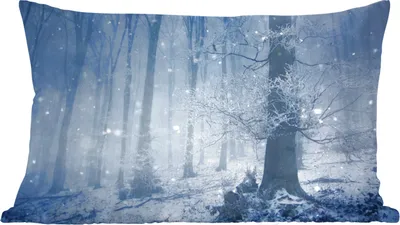 Produktbild von MuchoWow® Zierkissen Sofakissen Wohnzimmer Dekokissen 60x40 cm Wald - Winter - Schnee - Kopfkissen - Polster mit Foto