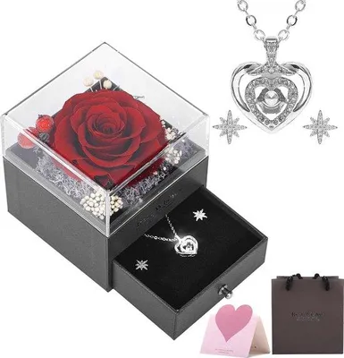 Produktbild von Famanu Ewige Rose mit Halskette und Ohrringen - Geschenkset für besondere Anlässe