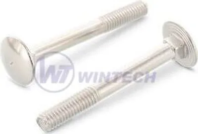Produktbild von Torschraube M6x140 DIN 603 Edelstahl A2 / Packung mit 100 Stück