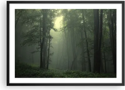 Produktbild von Gerahmtes Poster - Schwarzer Rahmen - Wald Nebel Baum - 70x50 cm - Wand Bild - Wanddeko - Wandbilder - Kunstposter - Wandposter - Bilderrahmen - Bilder - Kunstdruck - Wandbild - P2BAA70x50-3543