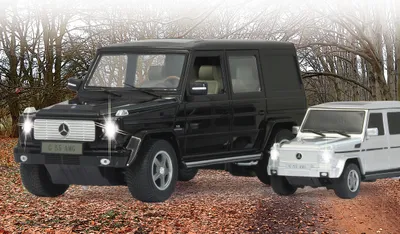 Produktbild von Mercedes-Benz G55 AMG 1:24 silber 40MHz