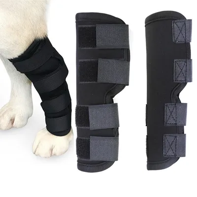 Immagine prodotto di INF Supporti traspiranti per le gambe dei cani - Supportano il legamento crociato anteriore XL