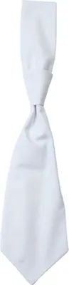 Immagine prodotto di CG Workwear 01360-01 | Cravatta Messina / Certificata secondo Oeko-Tex 100 - Colore: Bianco - Taglia: Unica