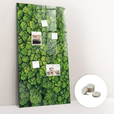 Obrázok produktu pre Magnetická tabuľa na stenu - Memo Tabuľa Sklenená - vrátane 5 magnetov - 60x120 cm - Les prírodných stromov