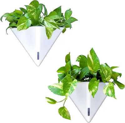 Image de Jeu de 2 pots de fleurs blancs, pour plantes d'intérieur