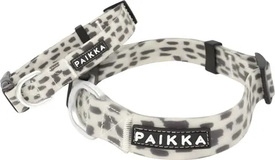 Produktbild von PAIKKA Hundehalsband "Glow Collar" 2.0, Verstellmöglichkeit: 30-40 cm