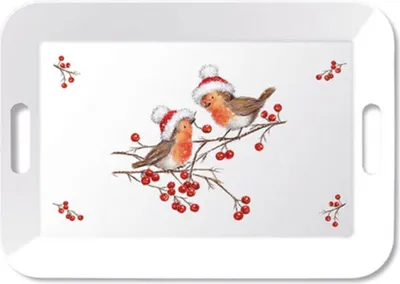 Obrázok produktu pre Ambiente Podnos 33x47cm Vianočné robins