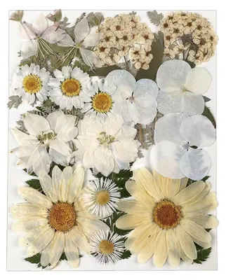 25 getrocknete Blumen für Harz, Kerzen, Scrapbooking & Deko