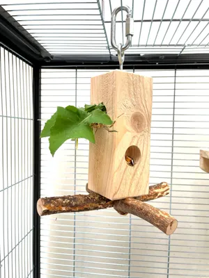 Produktbild von Ollesch Nager Futterbaum zum Aufhängen 25 x 20 cm natur