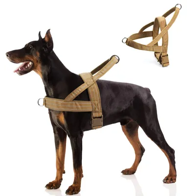 Produktbild von Hundegeschirr verstellbar, reflektierend, Größe L, für mittelgroße und große Hunde
