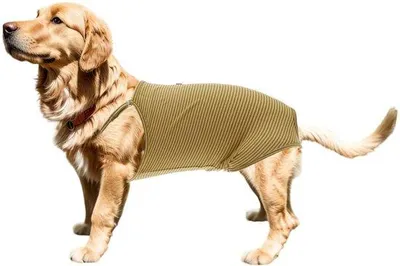 Productafbeelding van Hondenhalsband van katoen met absorberend ontwerp - Verstelbaar - Wasbaar - Herbruikbaar - Comfortabel voor honden