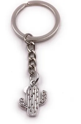 Image de Onwomania Porte-clés Cactus Plante Désert Cactus argent Pendentif Keychain