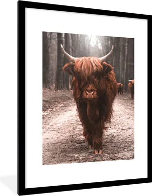 Produktbild von MuchoWow® Gerahmtes Poster Schottischer Hochländer - Wald - Kuh - Tiere - Natur 60x80 cm - Poster mit Schwarzem Bilderrahmen Wandposter Rahmen Foto Bilder - Wohnzimmer - Dekorationen - Prämie