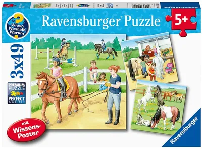 Obrázek produktu pro Ravensburger Den na jízdárně