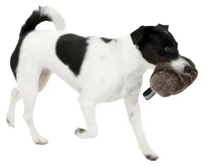 Produktbild von Hundespielzeug Snackdummy Plüsch 16x7cm Kerbl Gehorsamstraining Training