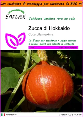 Immagine prodotto di SAFLAX Garden in the bag - Zucca di Hokkaido - 10 semi - Cucurbita