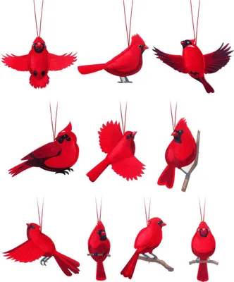 Produktbild von 10 Stück rote Vogel-Ornamente aus Holz, rote Vögel, Weihnachtsbaum-Hängedekoration für den Winter, Urlaub, Heimdekoration