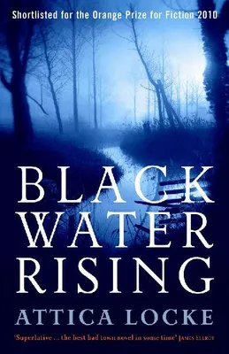 Produktbild von Black Water Rising