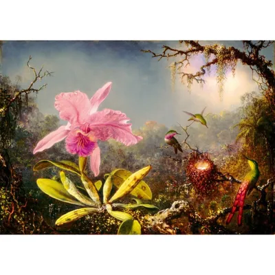 Obrázok produktu pre BLUEBIRD Puzzle Katleja a tri kolibríky 1000 dielikov