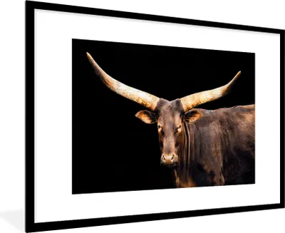 Produktbild von MuchoWow® MuchoWow® Gerahmtes Poster Kuh - Watussi - Hörner 90x60 cm - Poster mit zchwarzem Bilderrahmen - Wanddekoration - Fotos