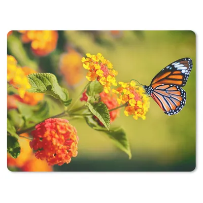 Produktbild von MuchoWow® Mauspad Mousepad Schmetterling - Insekten - Blumen - Gelb 40x30 cm - Mousepads - Maus Mat - Pad - Mausunterlage - Anti Rutsch