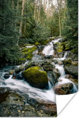 Produktbild von MuchoWow® Poster Natur - Wasserfall - Bäume - Herbst 40x60 cm - Plakate für die Wand - Poster Babyzimmer